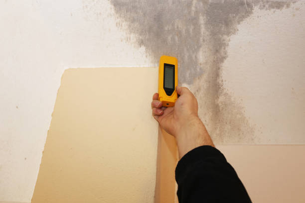 Best Forensic Mold Investigation  in York, NE