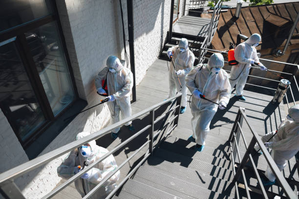 Professional Mold Removal in York, NE