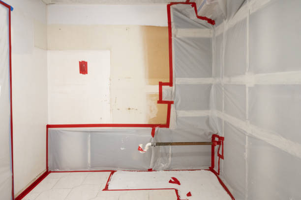 Best Mold Removal for HVAC Installations  in York, NE