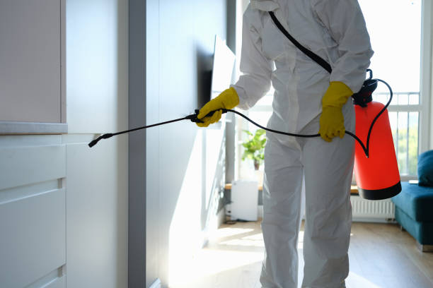 Best Asbestos and Lead Testing During Mold Inspection  in York, NE