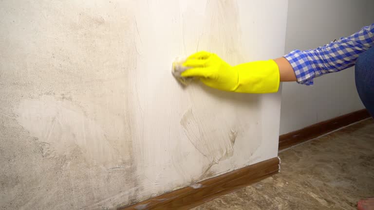 Best Post-Remediation Verification Testing  in York, NE