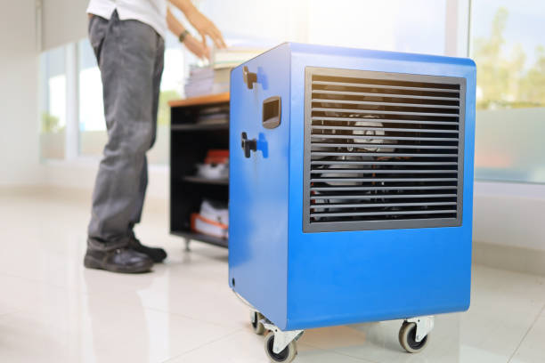 Best Commercial Mold Inspection  in York, NE