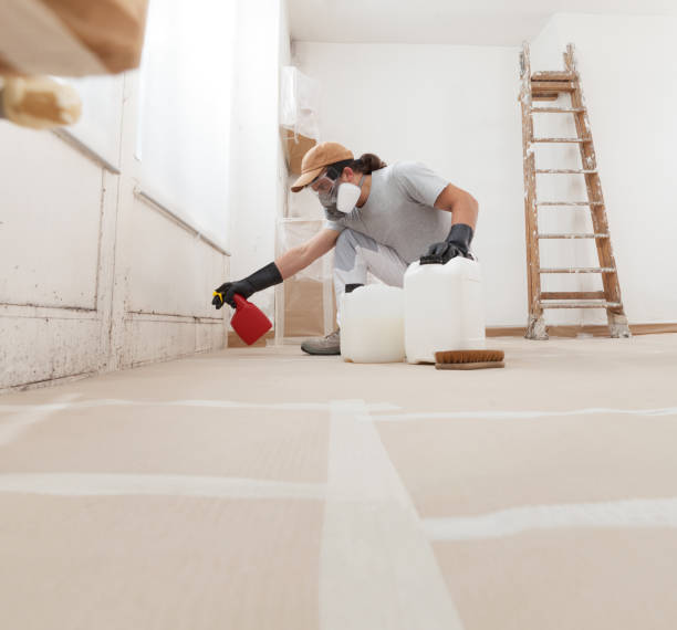Best Real Estate Mold Inspection  in York, NE